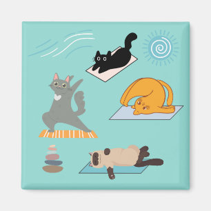 Grappige katten bij yoga magneet