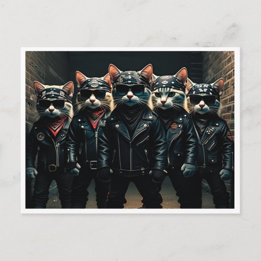 Grappige katten. Briefkaart (Voorkant)