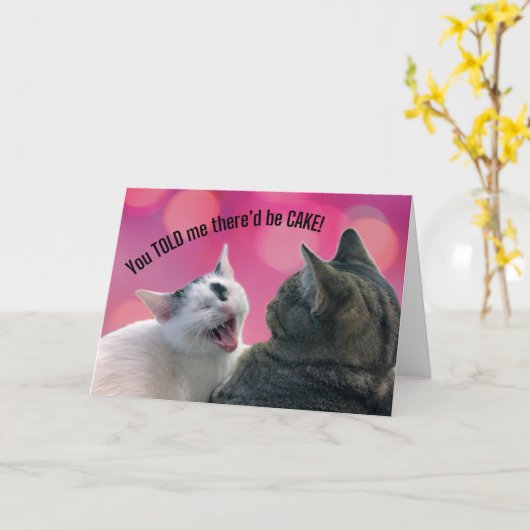 Grappige katten die je me vertelde dat er CAKE Ver Kaart (Gele Bloem)
