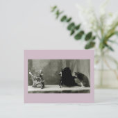 grappige katten  fotokaart voor katten briefkaart (Staand voorkant)