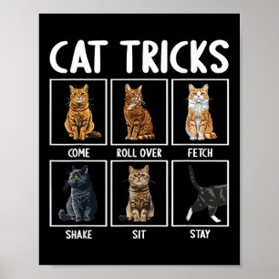Grappige katten grappige katten trucs poster