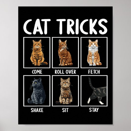Grappige katten grappige katten trucs  poster (Voorkant)