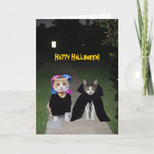 Grappige katten Halloween Kaart