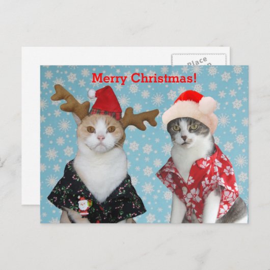 Grappige Katten in de Hawaiiaanse Shirten van Feestdagenkaart (Voorkant / Achterkant)