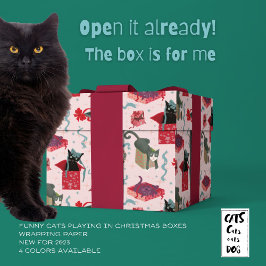 Grappige katten in kerstdozen roze rood groen cadeaupapier