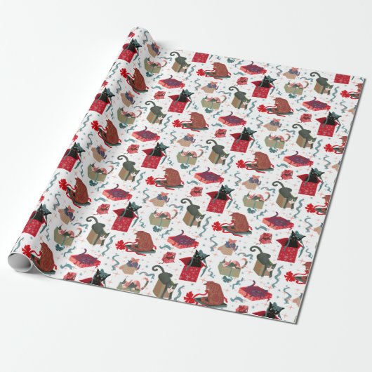 Grappige katten in kerstdozen wit rood groen cadeaupapier (Uitgerold)