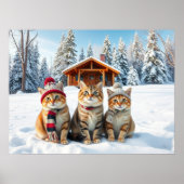 Grappige katten in nette winterkleding en hoeden   poster (Voorkant)