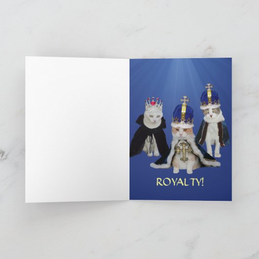 Grappige  katten kaart (Binnen)