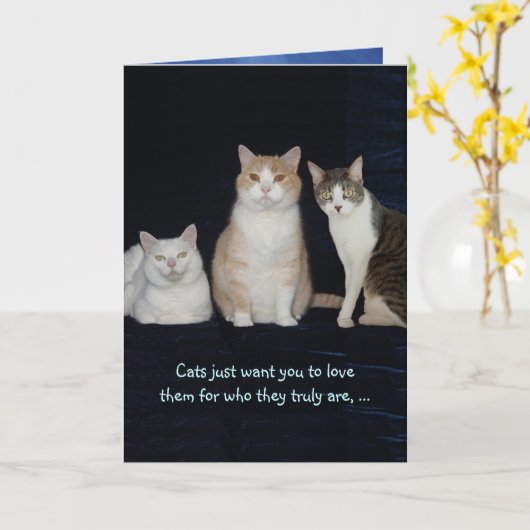 Grappige  katten kaart (Gele Bloem)