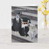 Grappige Katten/Katten Afstuderen Kaart (Gele Bloem)
