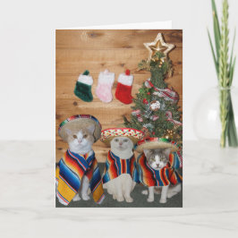 Grappige Katten/Katten Feliz Navidad Feestdagen Kaart