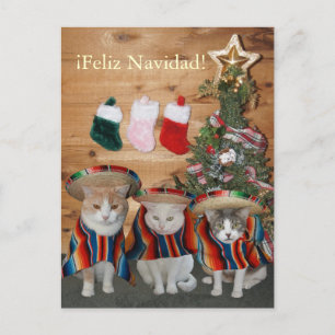 Grappige Katten/Katten Feliz Navidad Feestdagenkaart