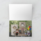 Grappige Katten/katten Gelukkige verjaardag van on Kaart (Binnen)