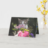 Grappige Katten/katten Gelukkige verjaardag van on Kaart (Gele Bloem)