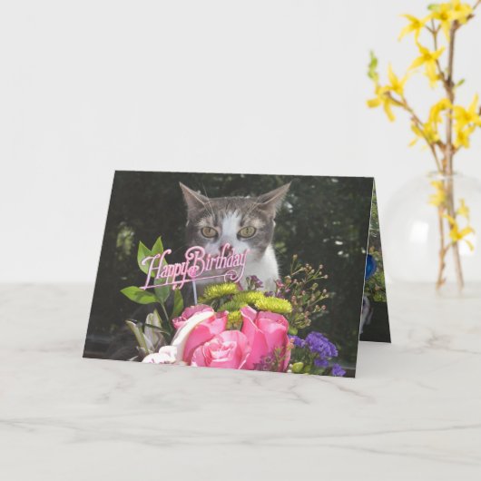 Grappige Katten/katten Gelukkige verjaardag van on Kaart (Gele Bloem)