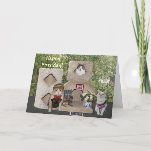 Grappige Katten/katten Gelukkige verjaardag van on Kaart (Voorkant)