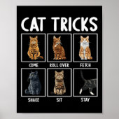 Grappige katten katten grappen  poster (Voorkant)
