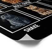 Grappige katten katten grappige trucs  poster (Hoek)