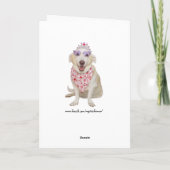 Grappige Katten/Katten Valentijn Feestdagen Kaart (Achterkant)