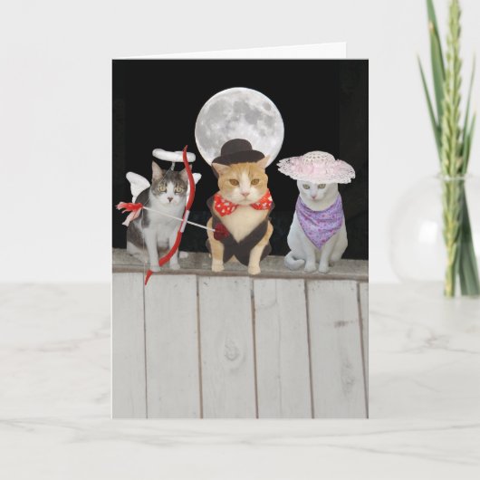 Grappige Katten/Katten Valentijn Feestdagen Kaart (Voorkant)