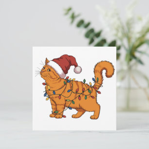 Grappige Katten Kerst Oranje Kat Moeder Huisdierli Feestdagenkaart