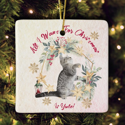 Grappige Katten Kerst Ornament – Krans & Sneeuwvlo
