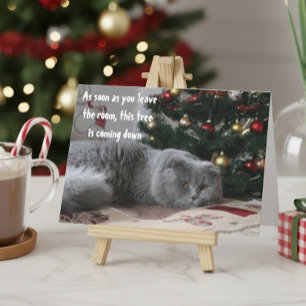 Grappige Katten Kerstboom Boze Groet Feestdagen Kaart
