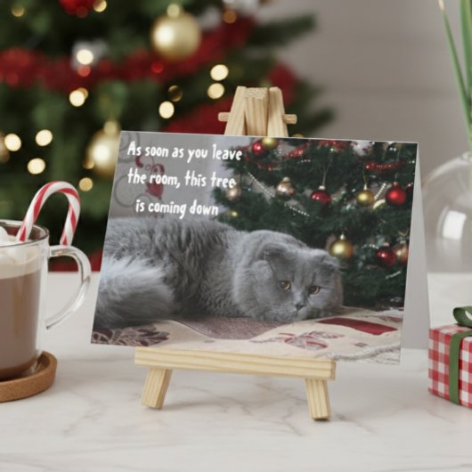 Grappige Katten Kerstboom Boze Groet Feestdagen Kaart