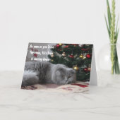 Grappige Katten Kerstboom Boze Groet Feestdagen Kaart (Voorkant)