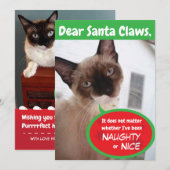 Grappige Katten Kerstman Klauwen Vakantie Wenskaar Feestdagenkaart (Voorkant / Achterkant)