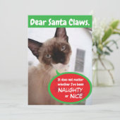 Grappige Katten Kerstman Klauwen Vakantie Wenskaar Feestdagenkaart (Staand voorkant)