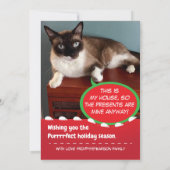 Grappige Katten Kerstman Klauwen Vakantie Wenskaar Feestdagenkaart (Achterkant)