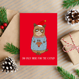 Grappige Katten Kerstvakantie  Feestdagen Kaart
