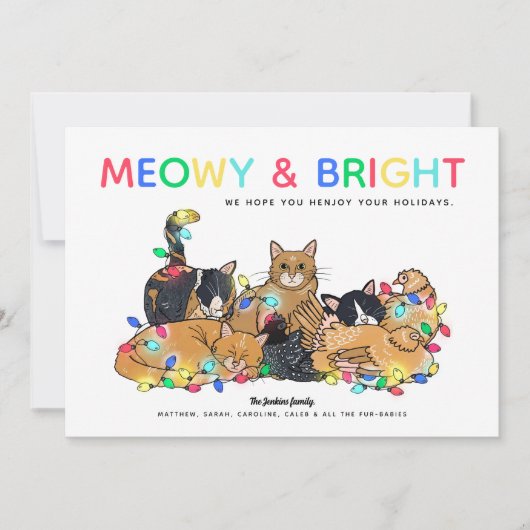 Grappige Katten & Kippen Kerst Foto Feestdagenkaart (Voorkant)