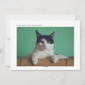 Grappige Katten & Kippen Kerst Foto Feestdagenkaart (Achterkant)