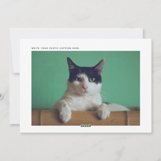 Grappige Katten & Kippen Kerst Foto Feestdagenkaart (Achterkant)