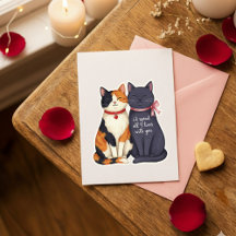 Grappige katten met negen levens valentijnskaart