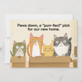 Grappige katten nieuwe huis bewegende aankondiging (Voorkant)