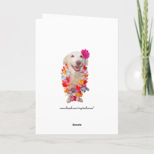 Grappige katten op het strand kaart (Achterkant)