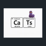 Grappige Katten Periodiek Systeem Elementen Grappi Briefkaart<br><div class="desc">grappig, cadeau, verjaardag, kat, dier, wetenschap, scheikunde, periodiek, systeem, tabel, element</div>