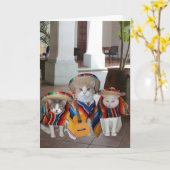 Grappige katten Spaanse verjaardag voor iedereen Kaart (Gele Bloem)