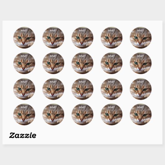 Grappige Katten Stickers (Vel)