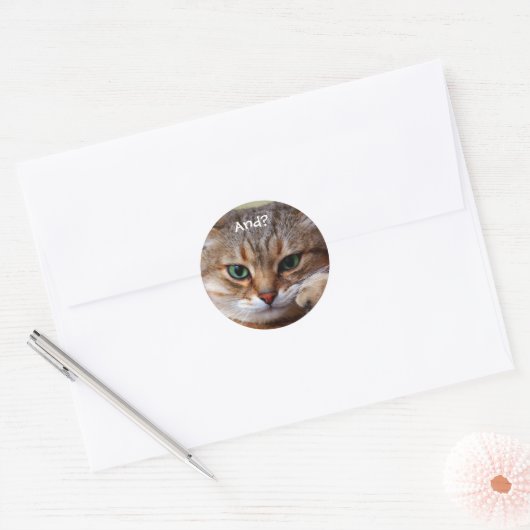 Grappige Katten Stickers (Envelop)