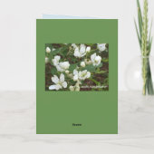 Grappige katten, Verontschuldiging voor het Bedankkaart (Achterkant)