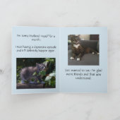 Grappige katten, Verontschuldiging voor het Bedankkaart (Binnen)