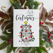 Grappige Kattenboom Huisdier Liefhebber Prettig Ka