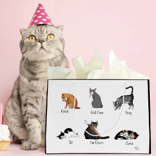 Grappige kattencommando's geïllustreerde trainings groot cadeauzakje