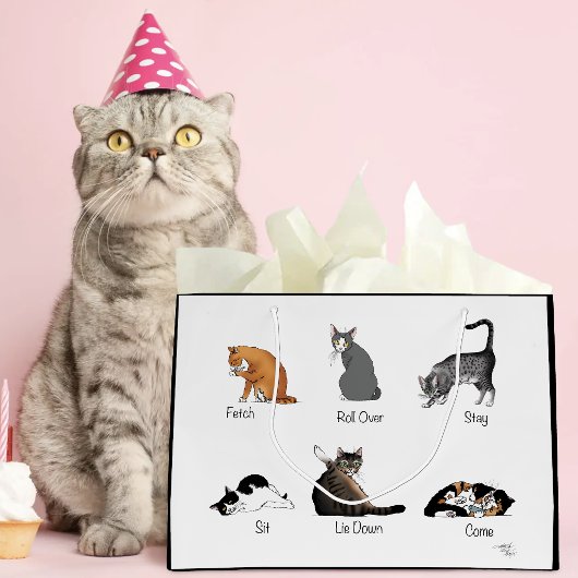 Grappige kattencommando's geïllustreerde trainings groot cadeauzakje