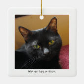 Grappige kattencommando's geïllustreerde trainings keramisch ornament (Achterkant)