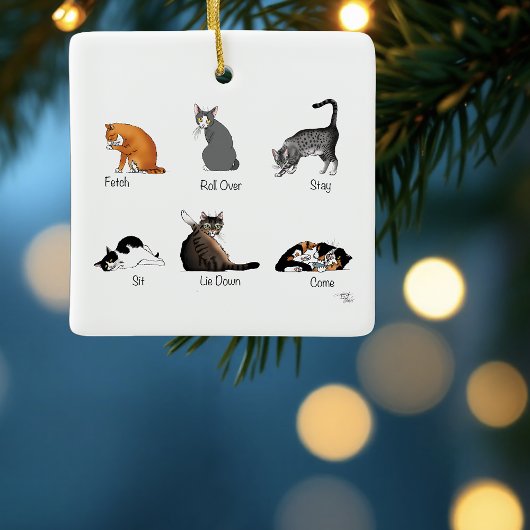 Grappige kattencommando's geïllustreerde trainings keramisch ornament